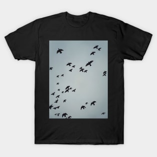 flying migratory birds T-Shirt